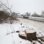 Budowa obwodnicy Sukowa i Daleszyc. Wycinka drzew na terenie, przez który będzie przebiegała droga / Marzena Mąkosa / Radio Kielce