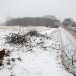 Budowa obwodnicy Sukowa i Daleszyc. Wycinka drzew na terenie, przez który będzie przebiegała droga / Marzena Mąkosa / Radio Kielce