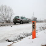 Budowa obwodnicy Sukowa i Daleszyc. Wycinka drzew na terenie, przez który będzie przebiegała droga / Marzena Mąkosa / Radio Kielce