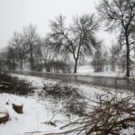 Budowa obwodnicy Sukowa i Daleszyc. Wycinka drzew na terenie, przez który będzie przebiegała droga / Marzena Mąkosa / Radio Kielce