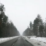 Budowa obwodnicy Sukowa i Daleszyc. Wycinka drzew na terenie, przez który będzie przebiegała droga / Marzena Mąkosa / Radio Kielce