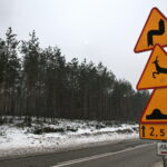 Budowa obwodnicy Sukowa i Daleszyc. Wycinka drzew na terenie, przez który będzie przebiegała droga / Marzena Mąkosa / Radio Kielce