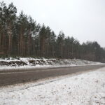 Budowa obwodnicy Sukowa i Daleszyc. Wycinka drzew na terenie, przez który będzie przebiegała droga / Marzena Mąkosa / Radio Kielce