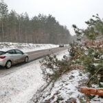 Budowa obwodnicy Sukowa i Daleszyc. Wycinka drzew na terenie, przez który będzie przebiegała droga / Marzena Mąkosa / Radio Kielce