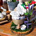 Konkurs na najdłuższą i najładniejszą palmę / Marzena Mąkosa / Radio Kielce