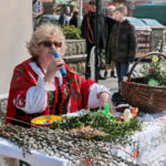 Konkurs na najdłuższą i najładniejszą palmę / Marzena Mąkosa / Radio Kielce