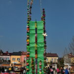 Konkurs na najdłuższą i najładniejszą palmę / Marzena Mąkosa / Radio Kielce