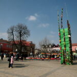 Konkurs na najdłuższą i najładniejszą palmę / Marzena Mąkosa / Radio Kielce