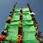 Konkurs na najdłuższą i najładniejszą palmę / Marzena Mąkosa / Radio Kielce