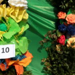 Konkurs na najdłuższą i najładniejszą palmę / Marzena Mąkosa / Radio Kielce