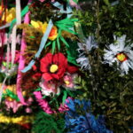 Konkurs na najdłuższą i najładniejszą palmę / Marzena Mąkosa / Radio Kielce