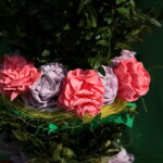 Konkurs na najdłuższą i najładniejszą palmę / Marzena Mąkosa / Radio Kielce