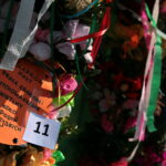 Konkurs na najdłuższą i najładniejszą palmę / Marzena Mąkosa / Radio Kielce