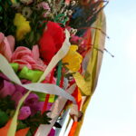 Konkurs na najdłuższą i najładniejszą palmę / Marzena Mąkosa / Radio Kielce