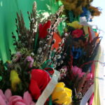 Konkurs na najdłuższą i najładniejszą palmę / Marzena Mąkosa / Radio Kielce