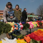 Konkurs na najdłuższą i najładniejszą palmę / Marzena Mąkosa / Radio Kielce