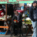 Konkurs na najdłuższą i najładniejszą palmę / Marzena Mąkosa / Radio Kielce