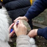 Rozbiórka pomnika w Wólce Bodzechowskiej / Emilia Sitarska / Radio Kielce