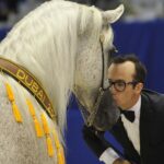 Konie z Michałowa na Międzynarodowym Czempionacie Koni Arabskich w Dubaju / Stadnina Koni Michałów