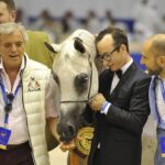 Konie z Michałowa na Międzynarodowym Czempionacie Koni Arabskich w Dubaju / Stadnina Koni Michałów