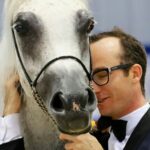 Konie z Michałowa na Międzynarodowym Czempionacie Koni Arabskich w Dubaju / Stadnina Koni Michałów