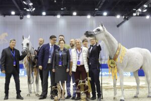 Konie z Michałowa na Międzynarodowym Czempionacie Koni Arabskich w Dubaju / Stadnina Koni Michałów