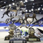 Konie z Michałowa na Międzynarodowym Czempionacie Koni Arabskich w Dubaju / Stadnina Koni Michałów