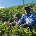 Sri Lanka / Marcin Włodarczyk