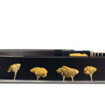 Wizualizacja kompleksu urządzeń uzdrowiskowych w Busku-Zdroju / 2pm architekci