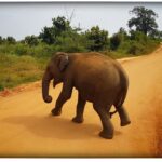 Sri Lanka / Marcin Włodarczyk