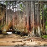 Sri Lanka / Marcin Włodarczyk