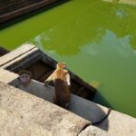 Sri Lanka / Marcin Włodarczyk