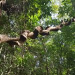 Sri Lanka / Marcin Włodarczyk