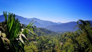 Sri Lanka / Marcin Włodarczyk