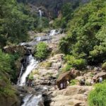 Sri Lanka / Marcin Włodarczyk