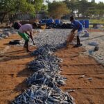 Sri Lanka / Marcin Włodarczyk