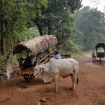 Sri Lanka / Marcin Włodarczyk