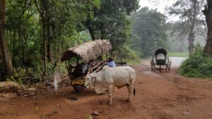 Sri Lanka / Marcin Włodarczyk