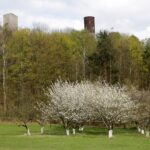 Zamek Królewski w Chęcinach / Robert Felczak / Radio Kielce