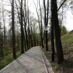 Zamek Królewski w Chęcinach / Robert Felczak / Radio Kielce