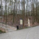 Zamek Królewski w Chęcinach / Robert Felczak / Radio Kielce