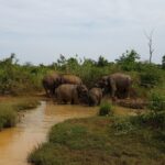 Sri Lanka / Marcin Włodarczyk