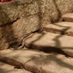 Sri Lanka / Marcin Włodarczyk