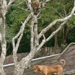 Sri Lanka / Marcin Włodarczyk