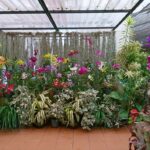 Sri Lanka / Marcin Włodarczyk