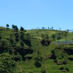 Sri Lanka / Marcin Włodarczyk