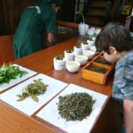 Sri Lanka / Marcin Włodarczyk