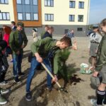Sędziszów. Sadzenie 100 drzew na 100-lecie niepodległości / Ewa Pociejowska - Gawęda / Radio Kielce
