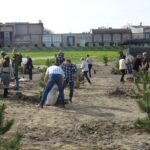 Sędziszów. Sadzenie 100 drzew na 100-lecie niepodległości / Ewa Pociejowska - Gawęda / Radio Kielce