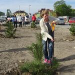 Sędziszów. Sadzenie 100 drzew na 100-lecie niepodległości / Ewa Pociejowska - Gawęda / Radio Kielce